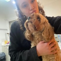 Thumbnail of Summer T.