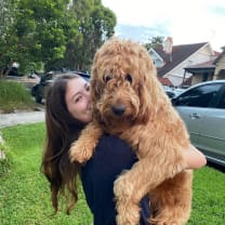 Thumbnail of madison s.