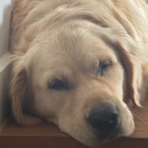 Thumbnail of Belinda D.