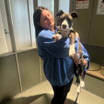 Thumbnail of Lauren B.