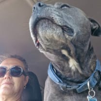 Thumbnail of Dani M.