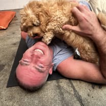 Thumbnail of Niall S.