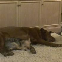 Thumbnail of Lucy C.