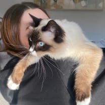 Thumbnail of Hannah D.