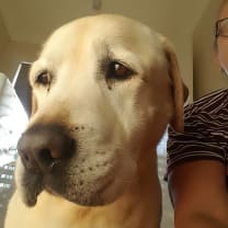 Thumbnail of Beverley J.