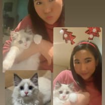 Thumbnail of Mie Mie K.