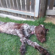 Thumbnail of Natalie C.