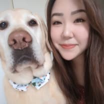 Thumbnail of Su-Ting M.