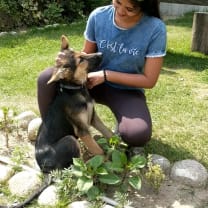 Thumbnail of Garima C.