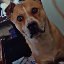 Thumbnail of Nickki L.