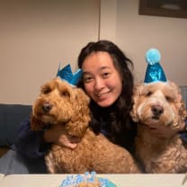 Thumbnail of Carol (Wenhui) H.