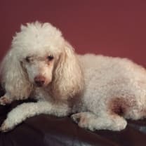 Thumbnail of Denise C.