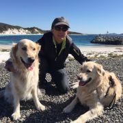 Pet Sitters Bunbury Wa Mad Paws