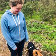 Dog Daycare Bunbury Wa Mad Paws