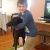 Julie G - Review for Pet Hosting in Australia