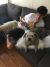 Julia B - Review for Pet Hosting in Australia