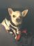 Kaycee H - Review for Pet Hosting in Australia