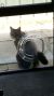 Barbara P - Review for Pet Hosting in Australia
