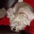 Johanna M - Review for Pet Hosting in Australia