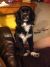 Patricia D - Review for Pet Hosting in Australia