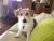 Tina M - Review for Pet Hosting in Australia
