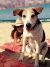 Tanja M - Review for Pet Hosting in Australia