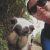 Jodie S - Review for Pet Hosting in Australia