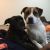 Anita H - Review for Pet Hosting in Australia
