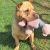 Trish W - Review for Pet Hosting in Australia