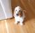 Patrick J - Review for Pet Hosting in Australia