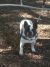 Jessika E - Review for Pet Hosting in Australia