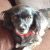 Helen N - Review for Pet Hosting in Australia