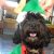 Leanne B - Review for Pet Hosting in Australia
