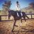 Chloé H - Review for Pet Hosting in Australia
