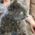 Bec B - Review for Pet Hosting in Australia