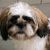 sam k - Review for Pet Hosting in Australia