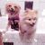 Betty H - Review for Pet Hosting in Australia