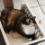 Christine R - Review for Pet Hosting in Australia