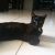 Denise R - Review for Pet Hosting in Australia