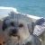 Sally W - Review for Pet Hosting in Australia