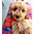 Justine B - Review for Pet Hosting in Australia