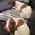 Rob B - Review for Pet Hosting in Australia