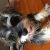 Fiona W - Review for Pet Hosting in Australia