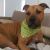 Jacqui O - Review for Pet Hosting in Australia