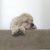Chris D - Review for Pet Hosting in Australia