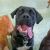 Sam B - Review for Pet Hosting in Australia