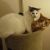 Lawrie K - Review for Pet Hosting in Australia