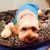 Patricia P - Review for Pet Hosting in Australia