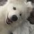 Stephanie W - Review for Pet Hosting in Australia