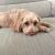 lisa b - Review for Pet Hosting in Australia